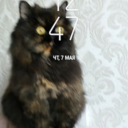 ТБ