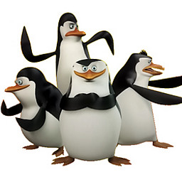MN