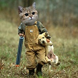 IZ