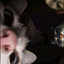 AS