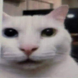AP