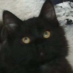 O