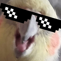 AŠ