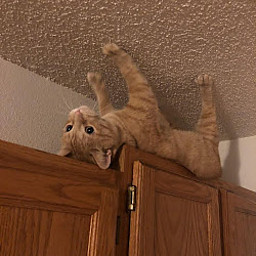 V