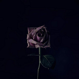 AT