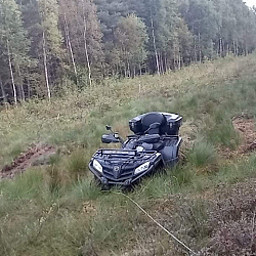AA