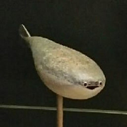VŠ