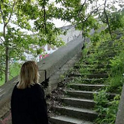LD