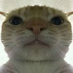 HM