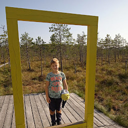 AA