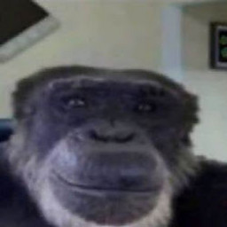 DT