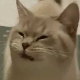 EP